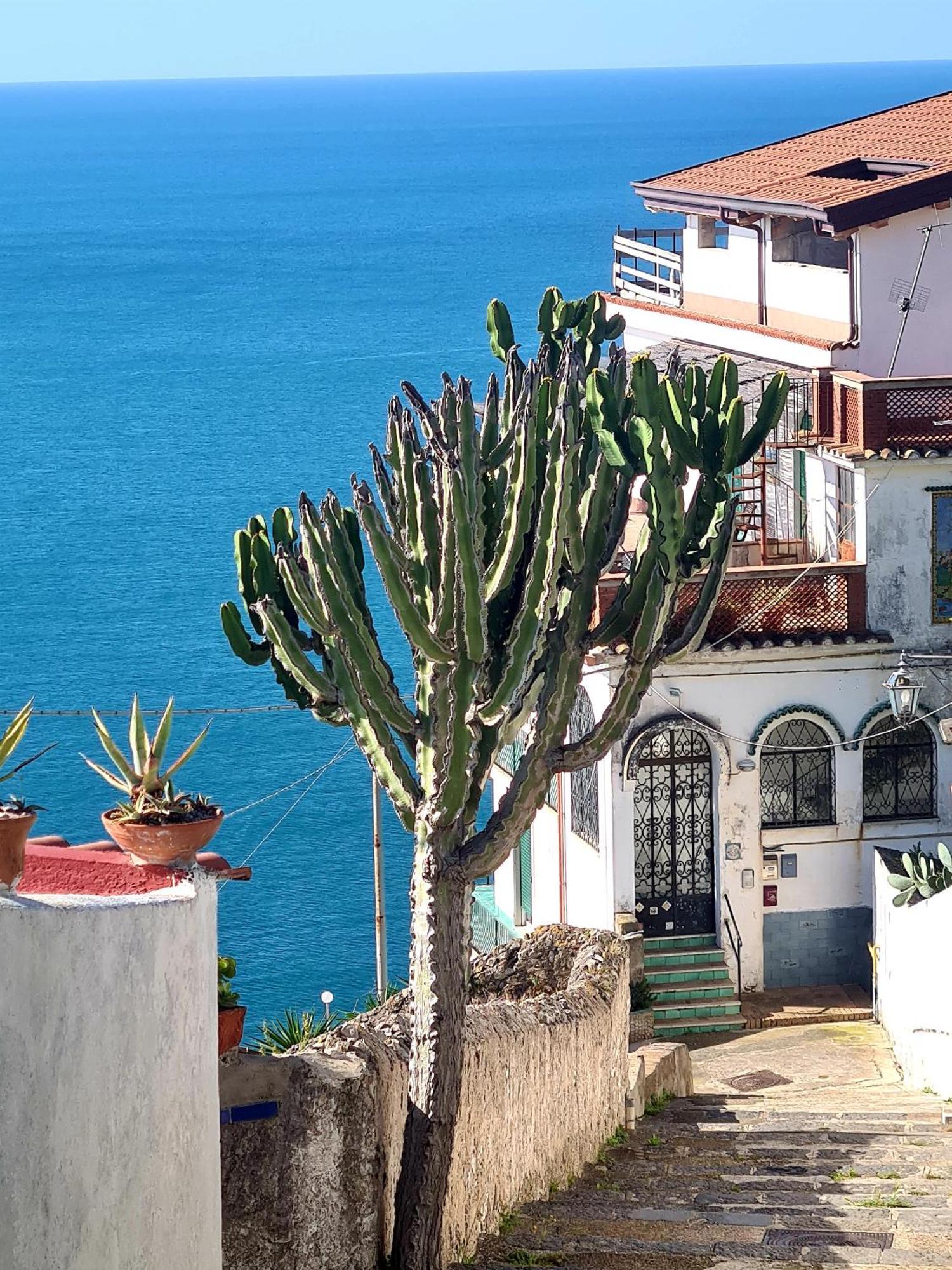Le Due Sorelle Vietri Buitenkant foto